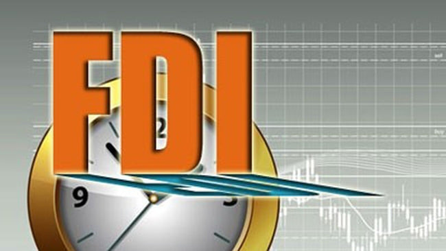 LIST OF THE LARGEST FDI PROJECTS IN 2020